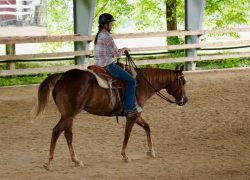 westernreiten-stgallen