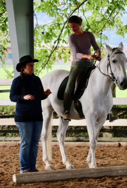 westernreiten-stgallen