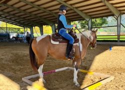 westernreiten-stgallen