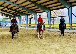 westernreiten-stgallen