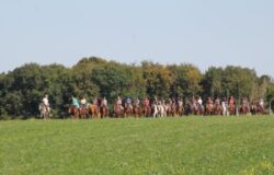 reitvereine_zürich_1