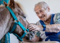 tierbesuche