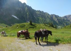 wanderreiten-alpen