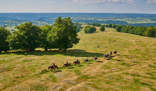 wanderreiten
