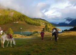 wanderreiten-alpen