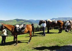 wanderreiten-bern