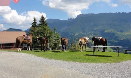 wanderreiten-bern