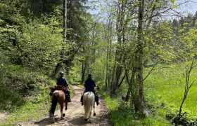 wanderreiten-jura