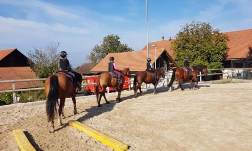 westernreiten-bern