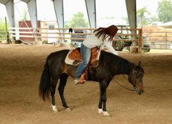 westernreiten-stgallen