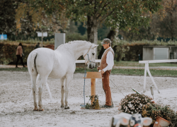 Horseathlon-Freiburg