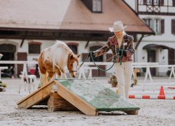 Horseathlon-Freiburg