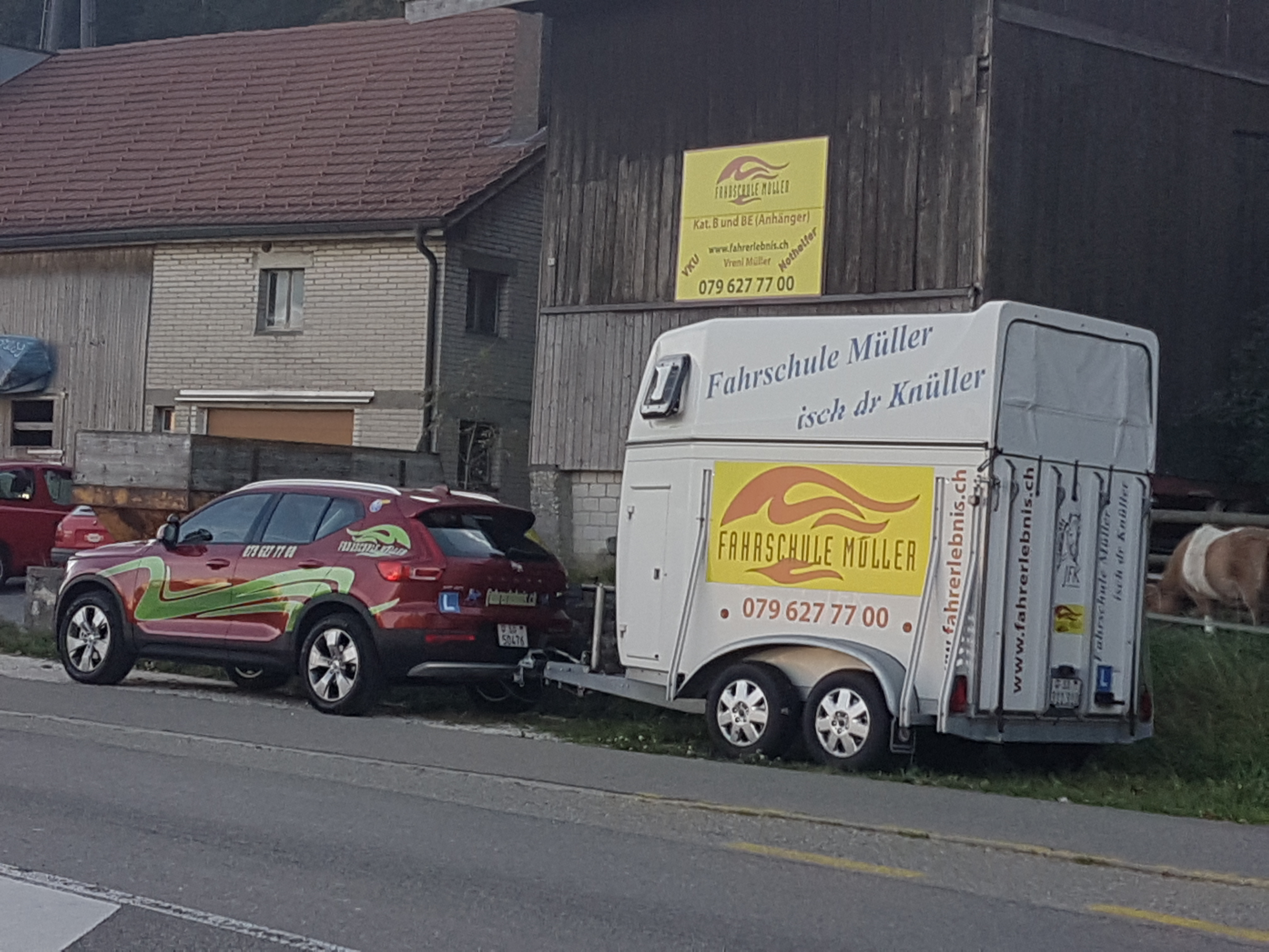 Pferdetransportkurs nach TschV