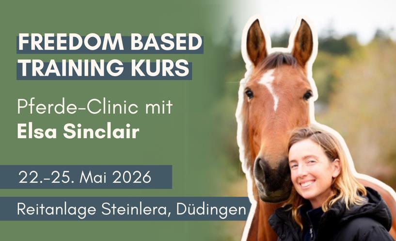 Freedom Based Training Kurs