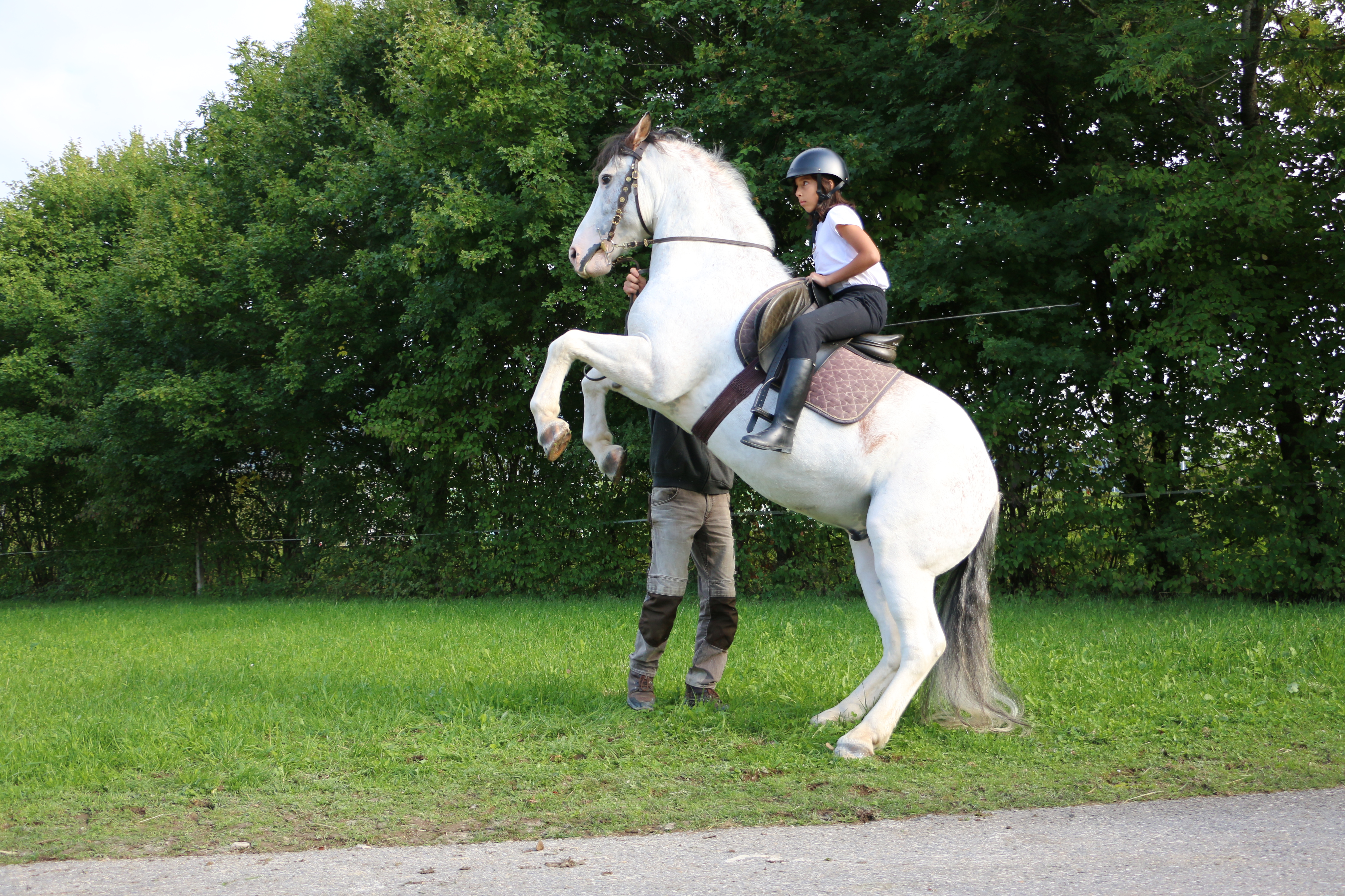 Sellenhof Reitferienlager Frühling Woche 2