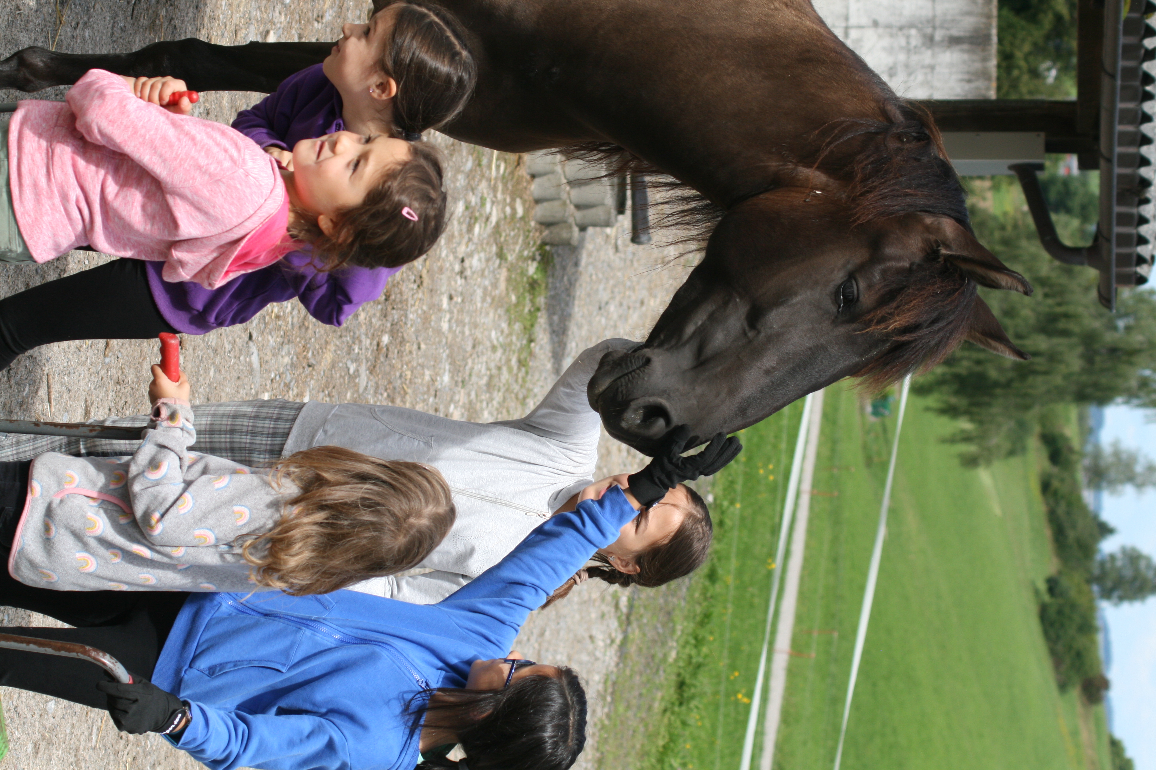 Ponyclub – Sonntagsedition (halbtags)