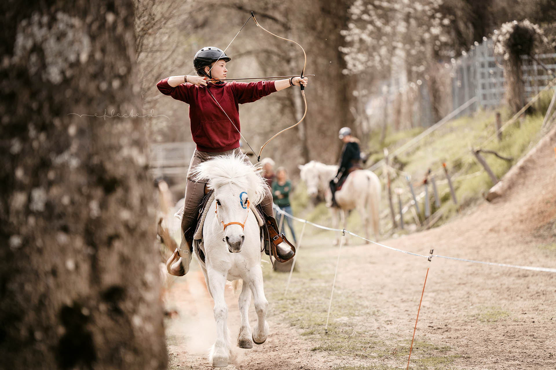 Sommer – Jugendcamp im berittenen Bogenschiessen 2026
