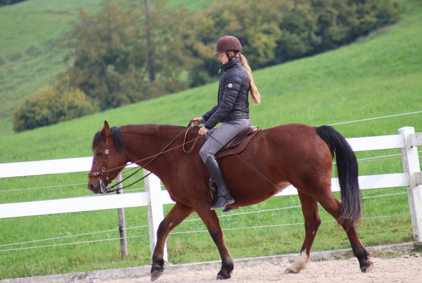 Trainingstag Akademische Reitkunst