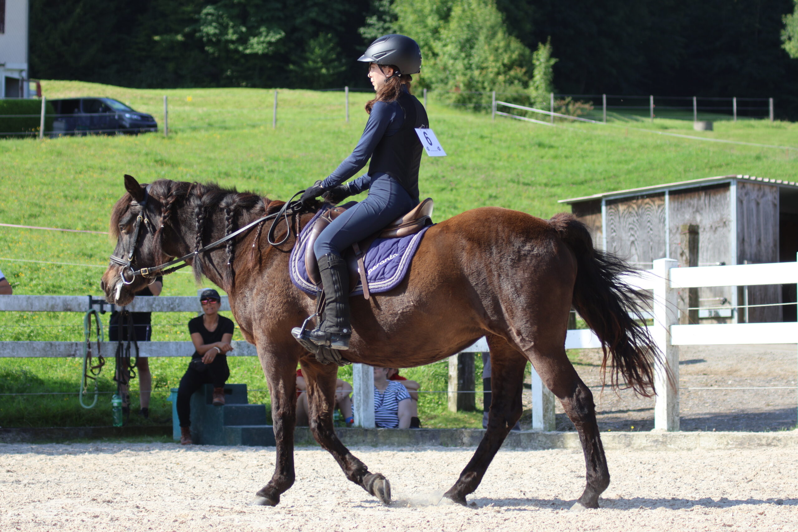 Vorbereitungskurs Grundausbildung Pferd Swiss Equestrian