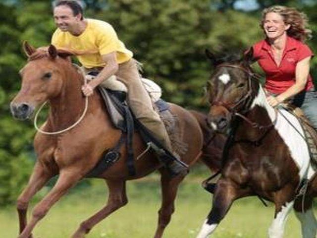 Natural Horsemanship – Gebissloses Reiten
