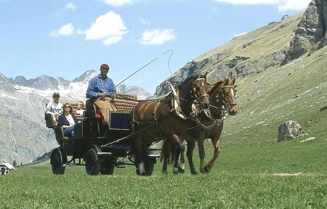 Coretti Kutschenfahrten
