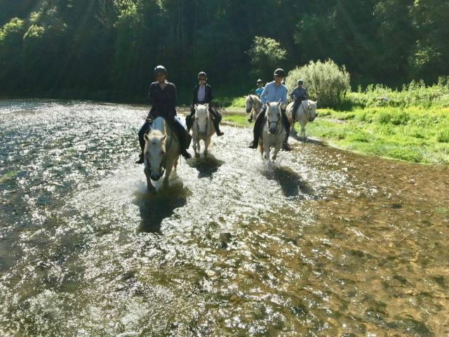 5-Tage Doubs-Freiberge-Pferde-Trekking