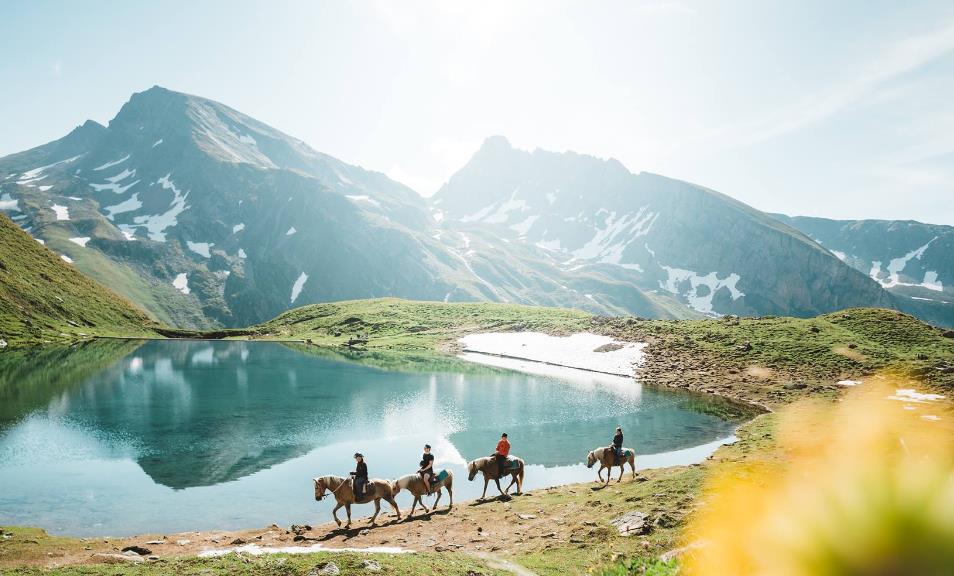 Pferdetrekking-Wallis, 3957 Erschmatt (VS)