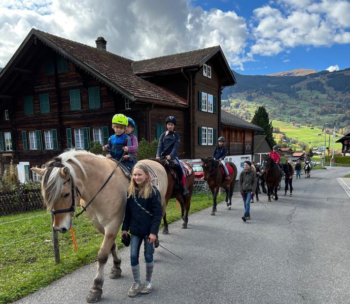 Ponyplausch Gletscherdorf, 3818 Grindelwald (BE)