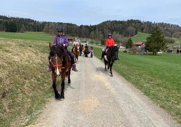 Ponyschür Schönau (ZH)