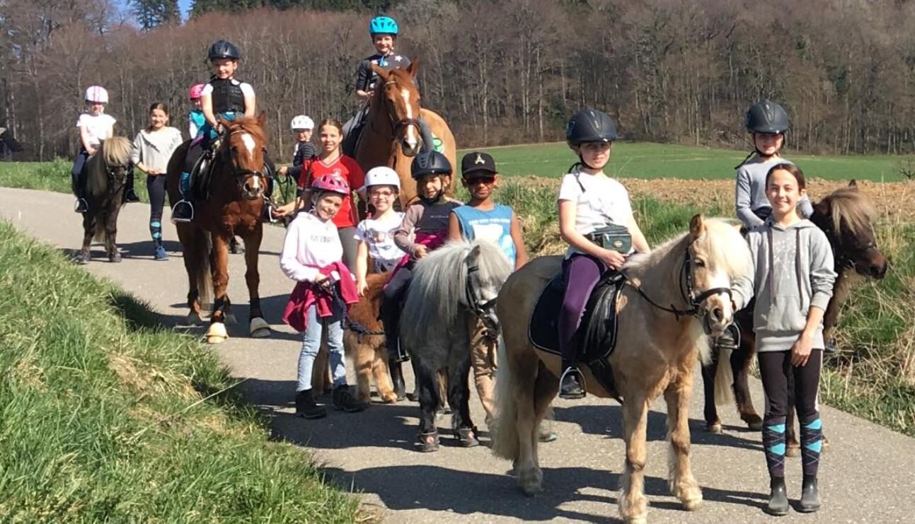 Ponyreiten