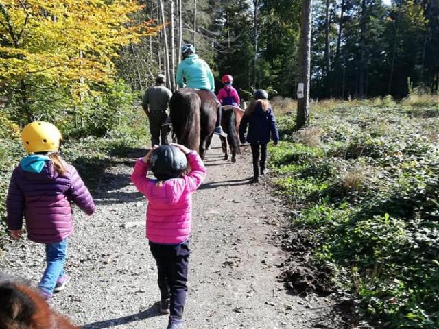 Ponyhof Egli, 8617 Oetwil am See (ZH)