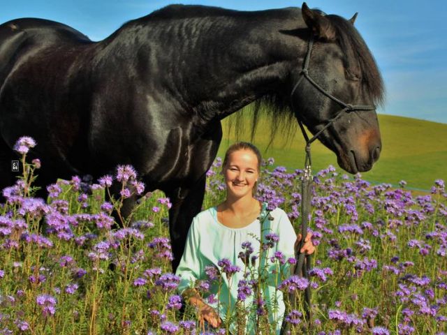 Reittherapie-ZHO, 8626 Ottikon (ZH)