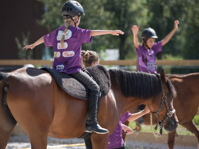 MS Sports (schweizweit)