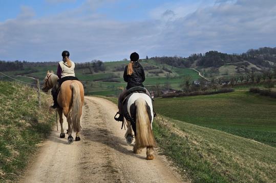 reiten-aargau