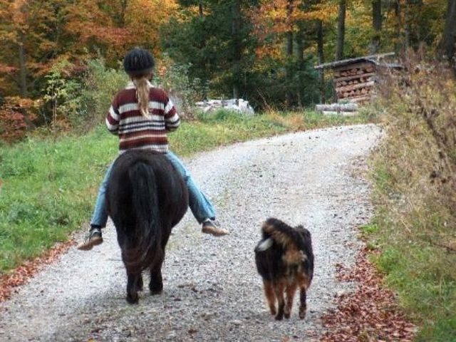 reiten-aargau