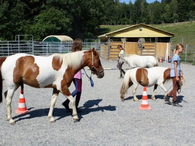 ponyreiten-aargau