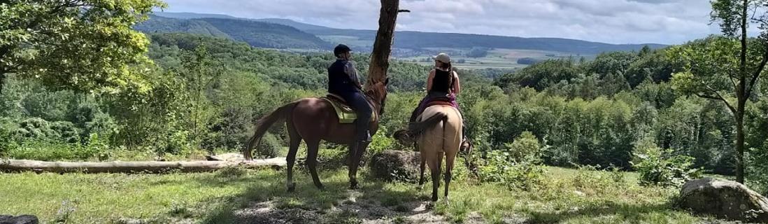 Green Horns Ranch (AG)
