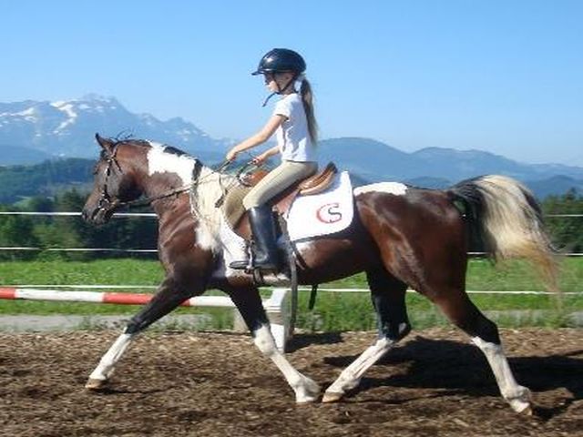 Brikerhof, 9055 Bühler (AI)