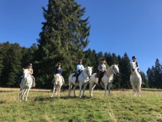 5 Tage Reiten mit Übernachtung auf dem Mas du Sapin