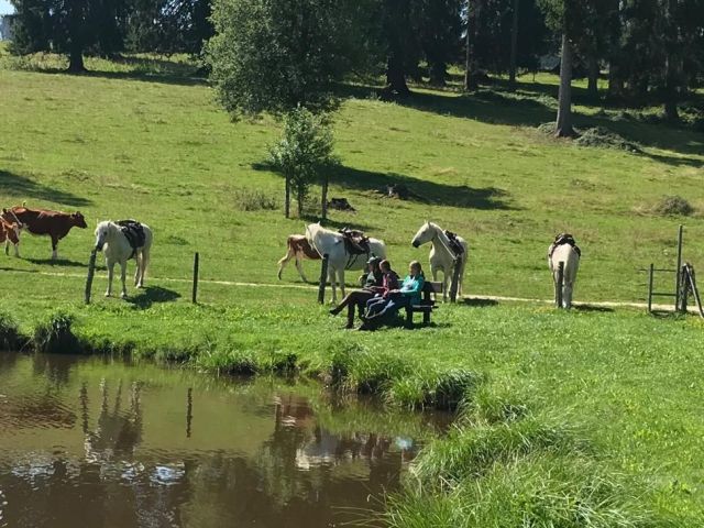 2 Tage Reiten mit Übernachtung auf dem Mas du Sapin für Gäste die schon einmal bei uns waren.