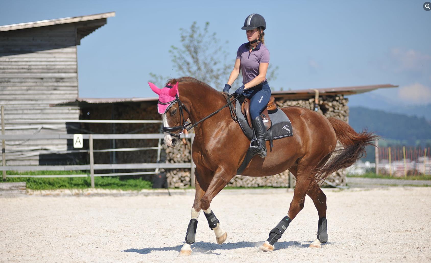 Reiten mit Harmonie, 6037 Root (LU)