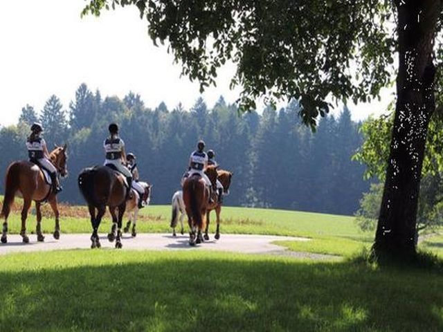 Reitstall Lohnmoos, 6206 Leuenkirch (LU)