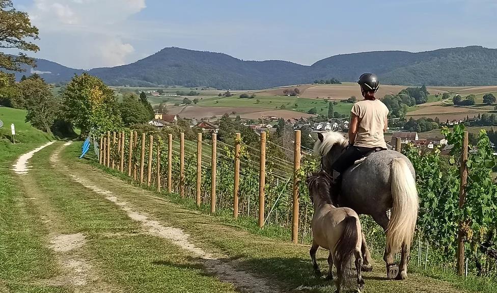 Sari Farm, 8226 Schleitheim (SH)