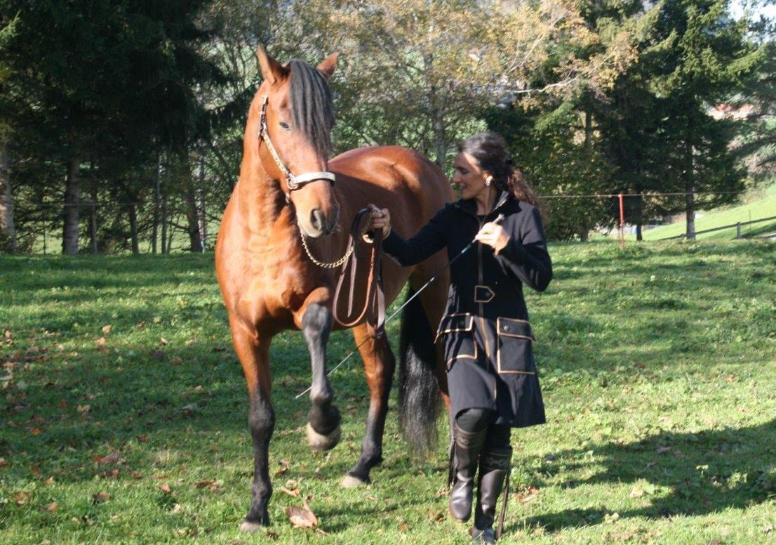 reiten-st.gallen