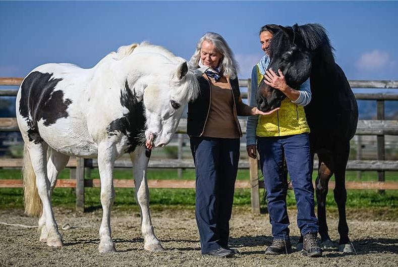 Reitstall und Ponyhof, 8580 Biessenhofen (TG)