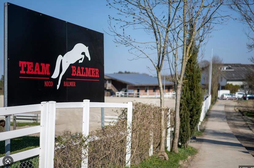 Team Balmer, 8412 Aesch b. Neftenbach (ZH)