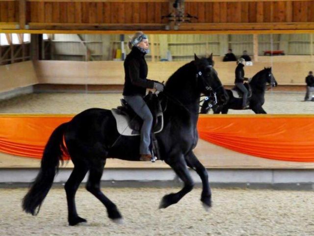 In-Balance-Pferdetraining, 8906 Bonstetten (ZH)