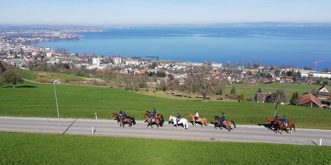 Reitstall Nauer (SG)