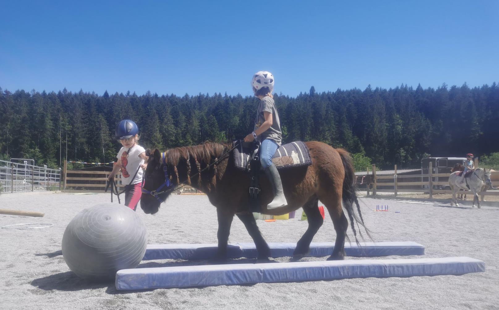 Equimedela, 3860 Meiringen (BE)
