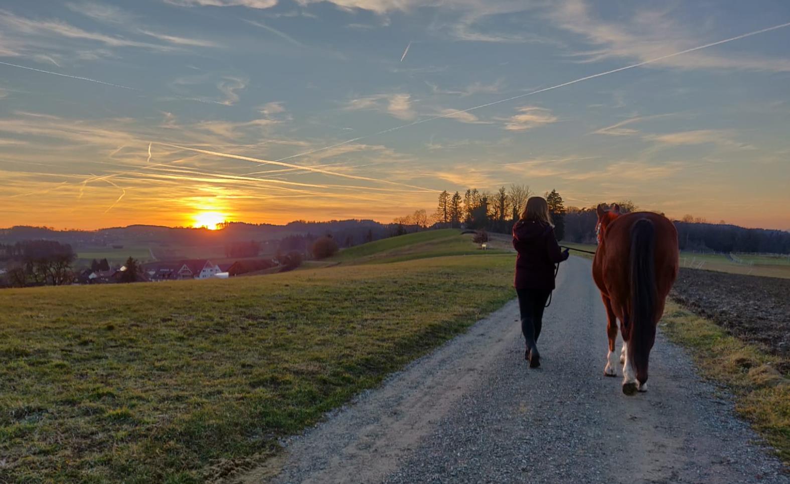 Ponystärken, 8507 Hörhausen (TG)